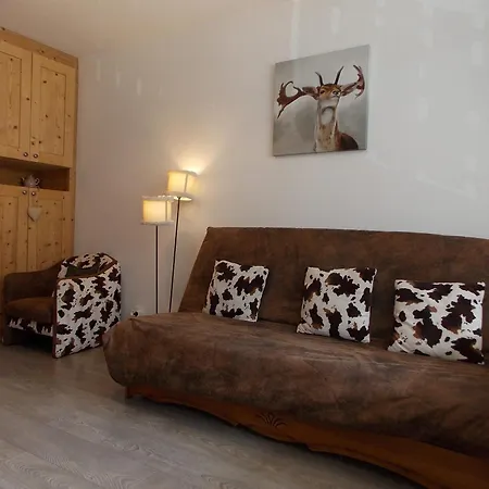 Apartment Avec Vue Montagne, Balcon - 4 Pers. *